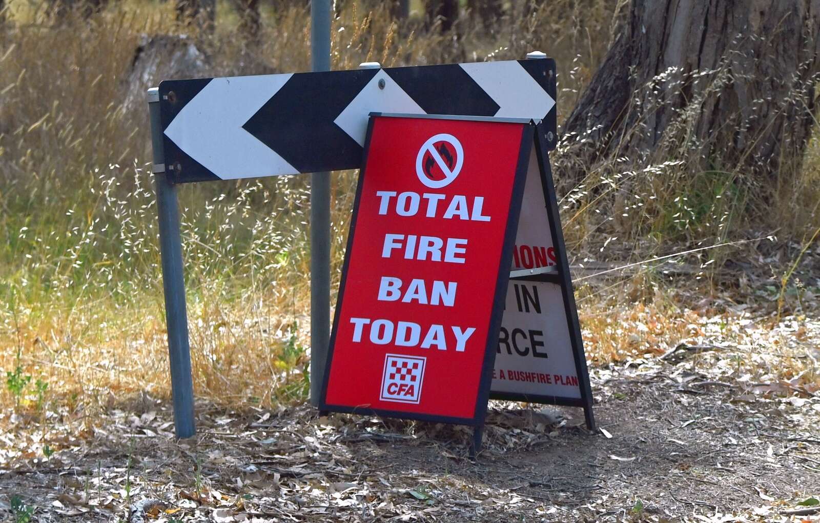 Campfire during Total Fire Ban leads to $1500 donation | Country News