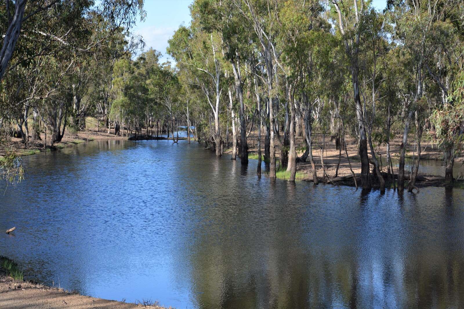 Goulburn Valley Water releasing treated wastewater into Goulburn River