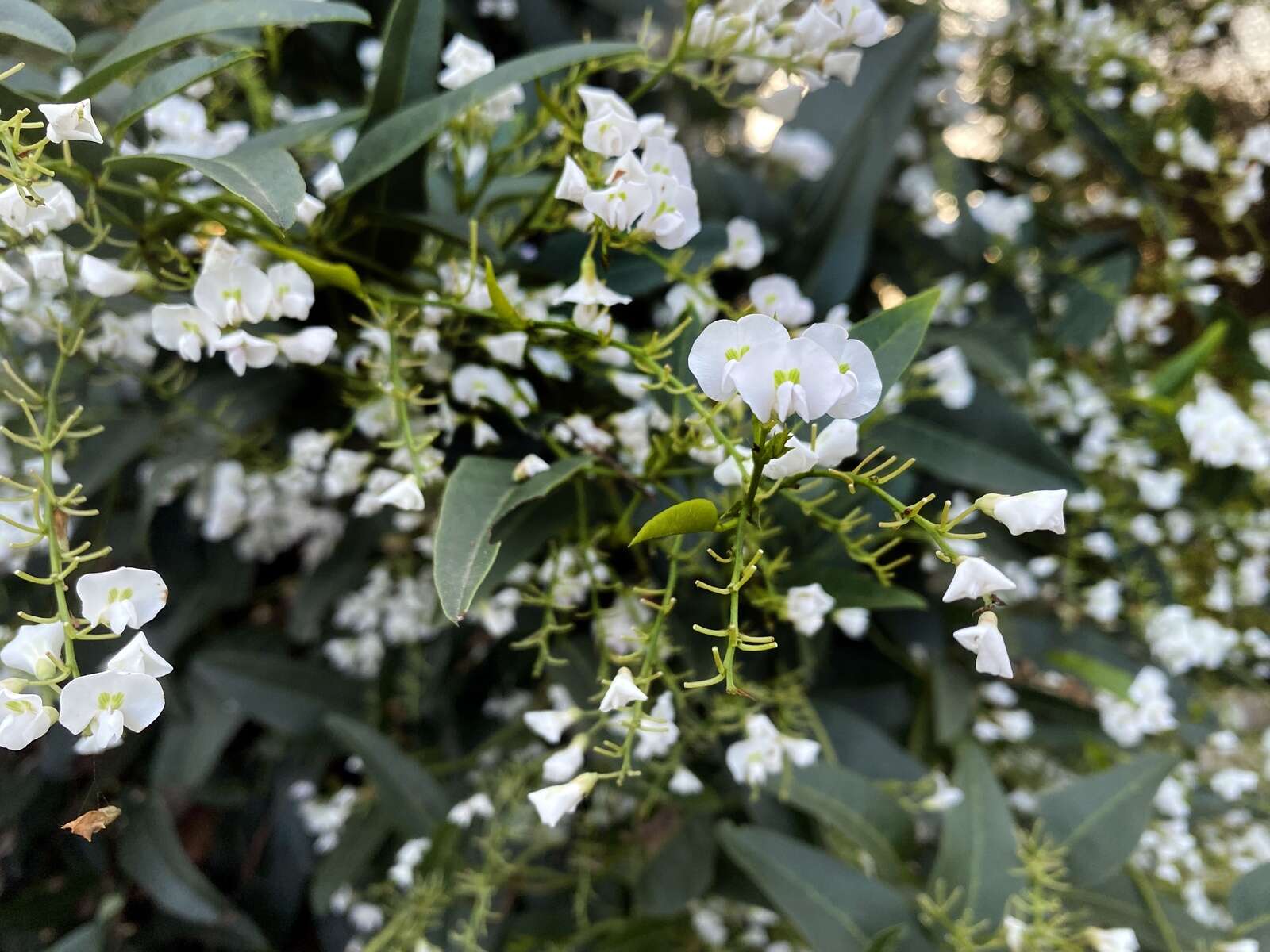 Tuesday weather Shepparton forecast Shepparton News