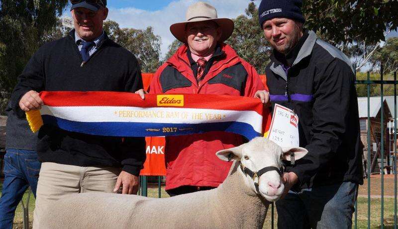 Top entertainment for Wakool Show | Deniliquin Pastoral Times
