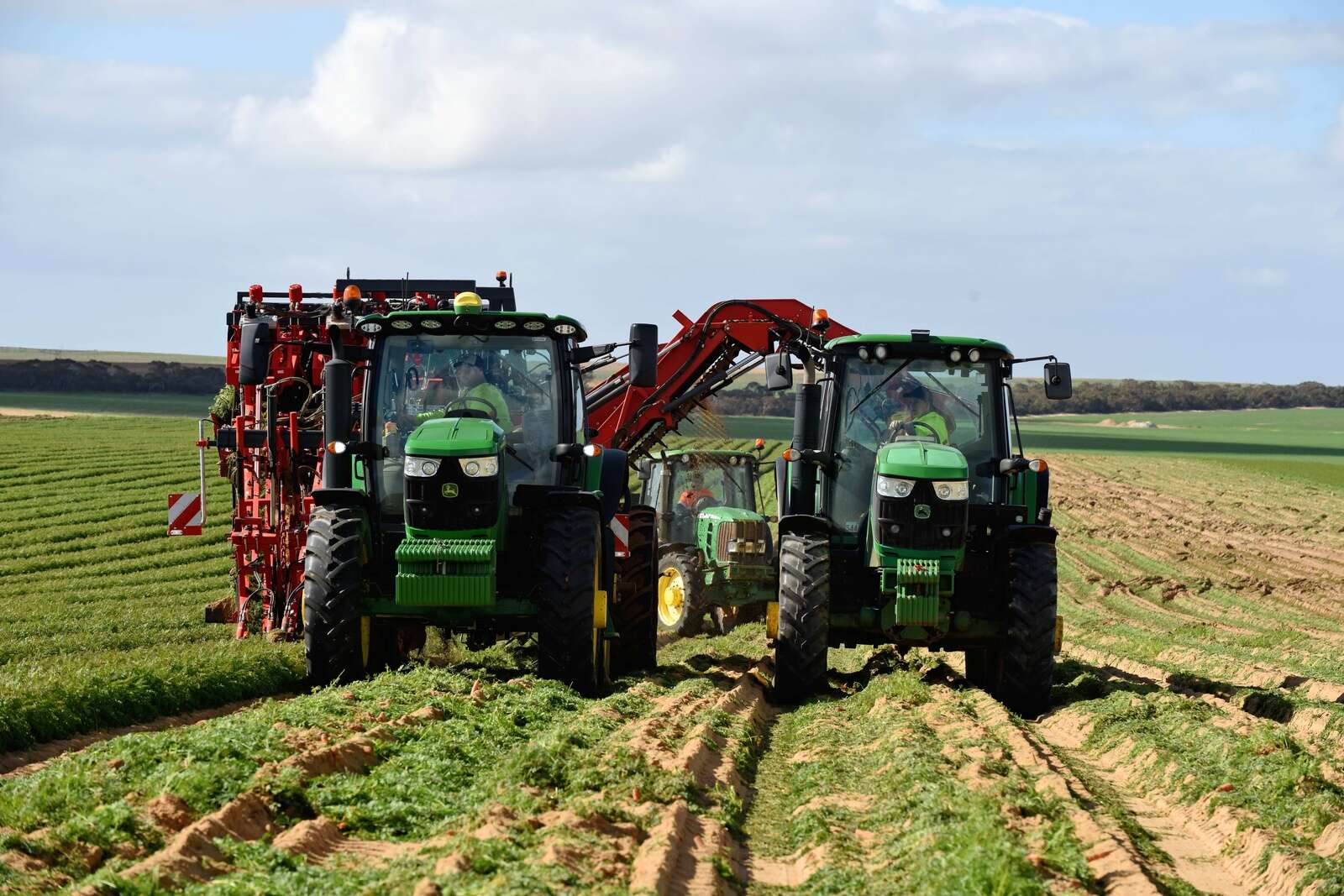 Low-carb potatoes, high-tech solutions and the Pye Group’s recipe of success