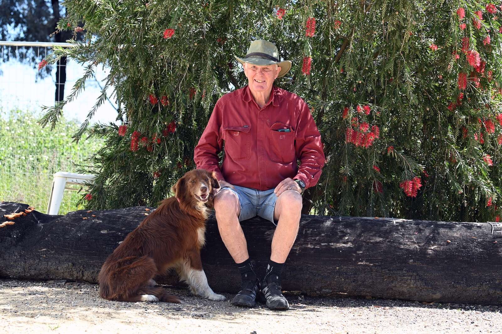From rodeo rider to elite dog trainer | Country News