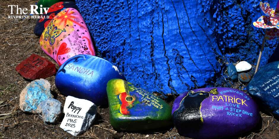 Painted rocks unite grieving hearts | Riverine Herald