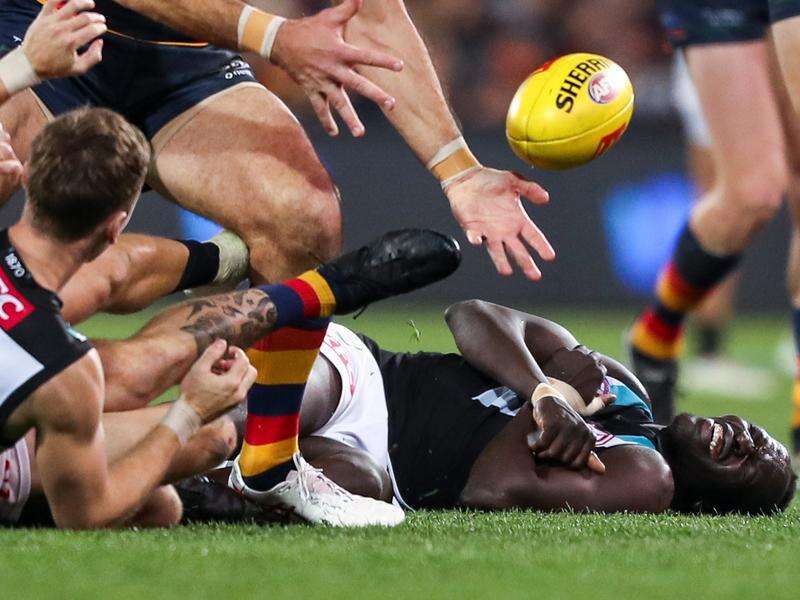Port's concussion protocols continue to be scrutinised | Kyabram Free Press