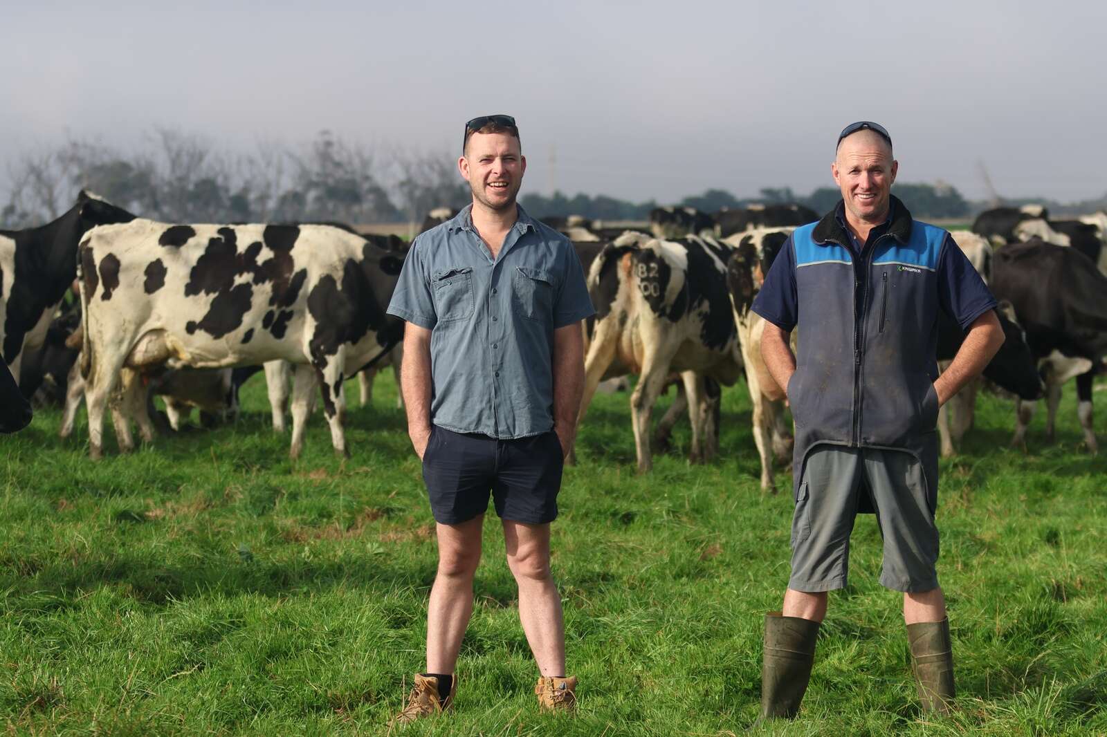Pearson Family Doubles Dairy Herd, Boosts Performance Index