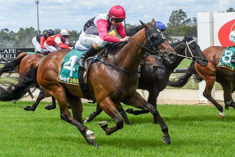 Roddandtodd breaks almost two-year streak at Wodonga races | Shepparton ...