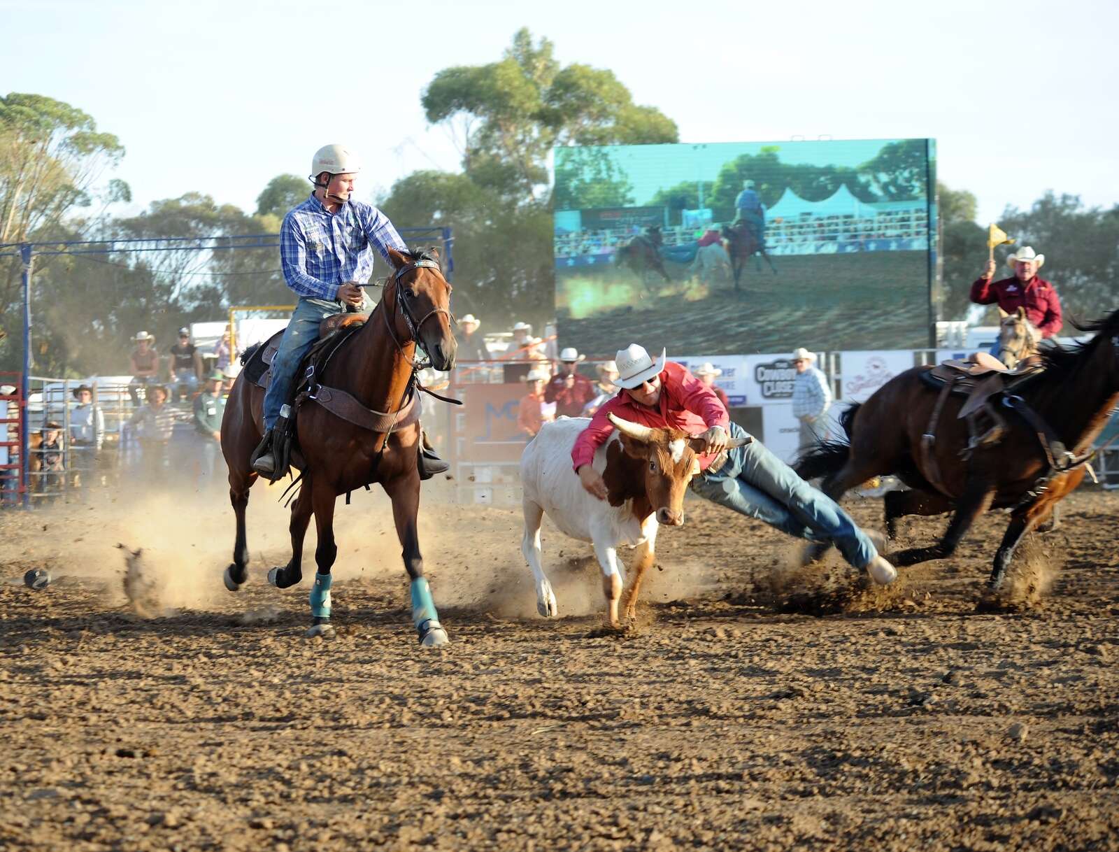 Rodeo rides into town Seymour Telegraph