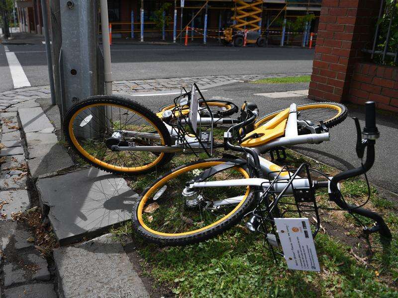 'Bike boy' bailed to rehab amid carjacking allegations