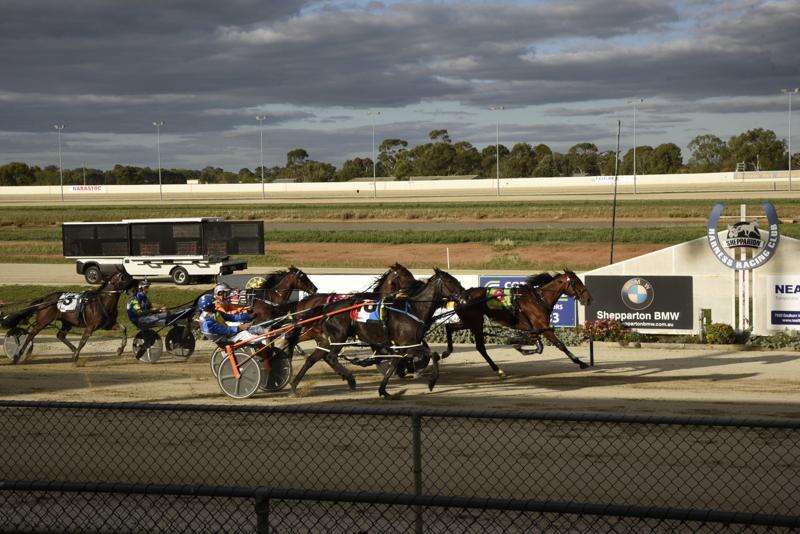 Harness racing fields increased to 10 Cobram Courier
