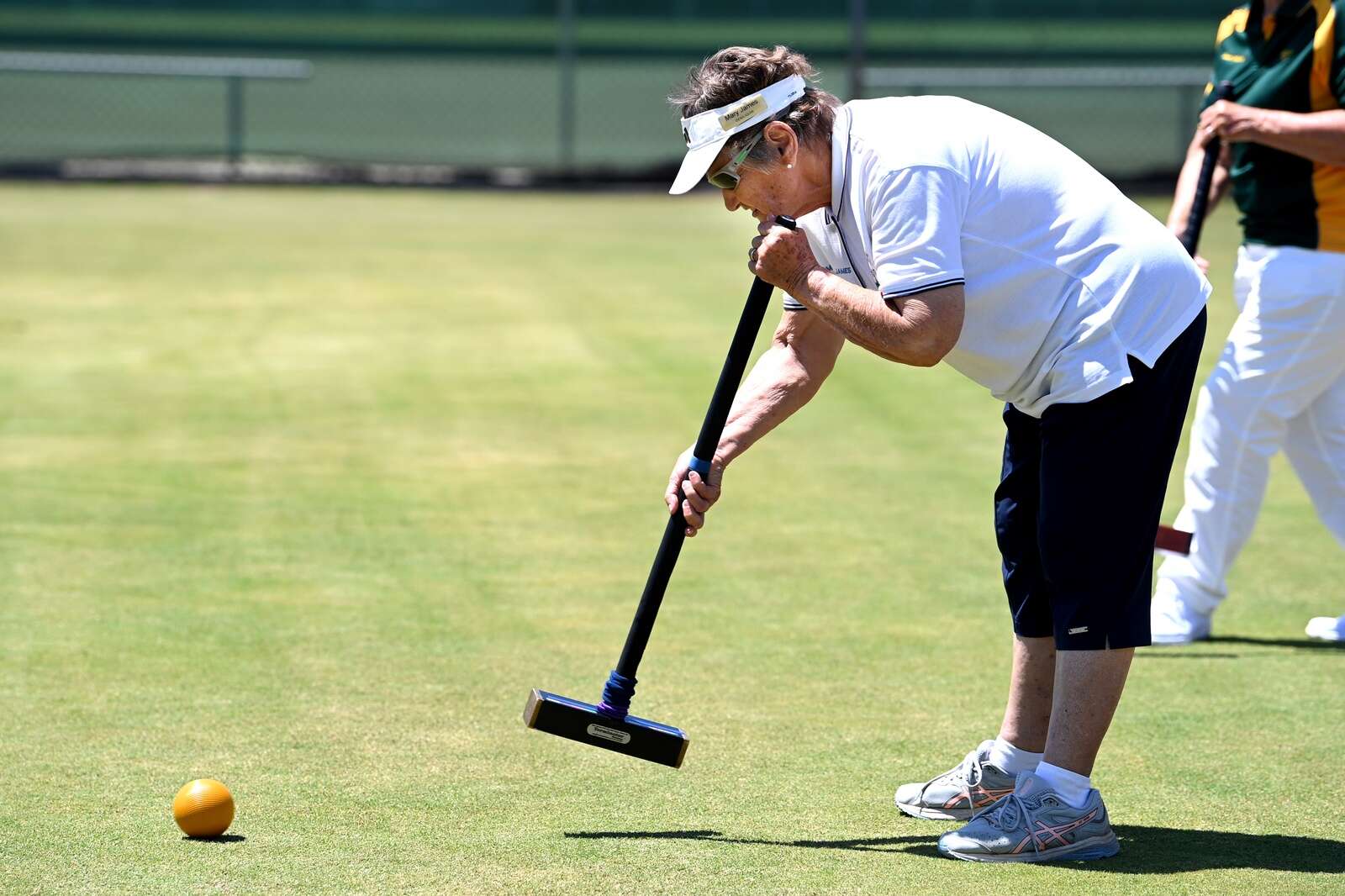 Gallery ǀ Croquet associations come together for interregional