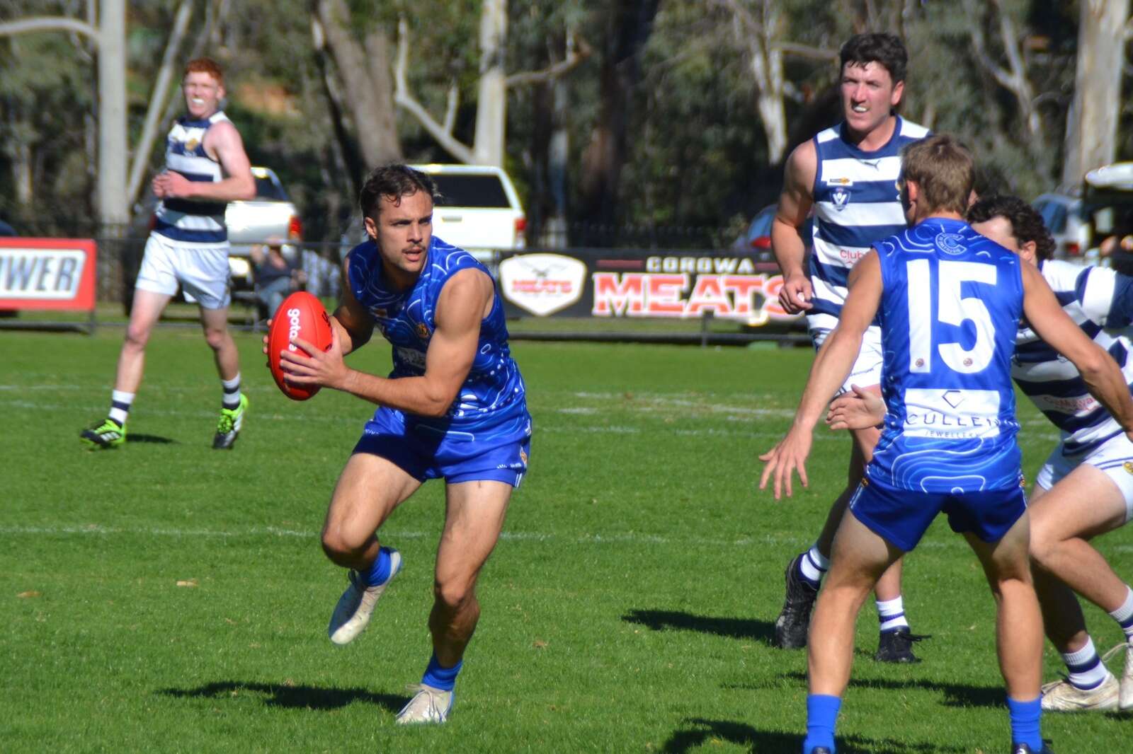 Pigeons run home against wayward Roos
