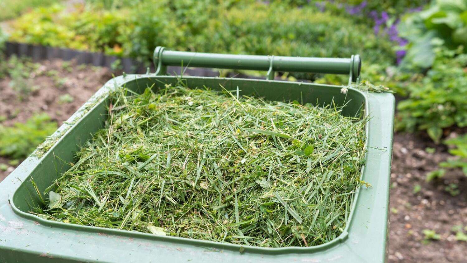 No bin collection on Good Friday Shepparton News