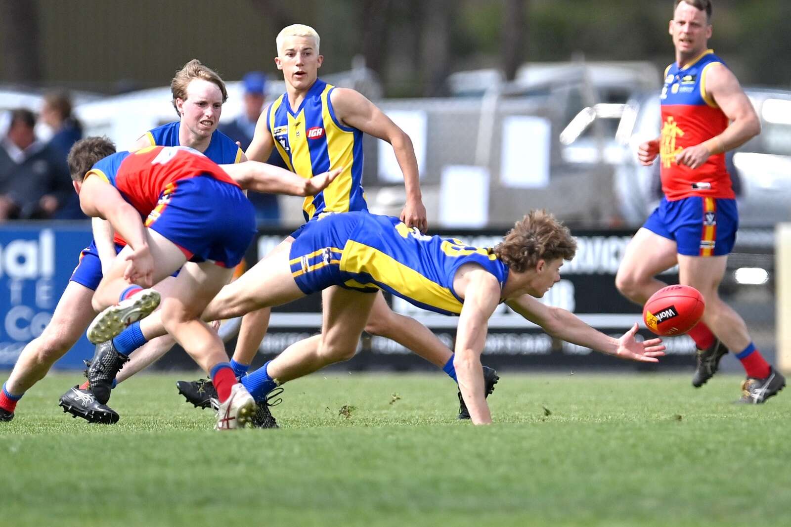 More Rams commit for another year | Deniliquin Pastoral Times