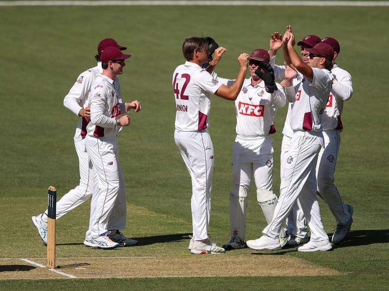 Queensland survive early fright to down SA in Shield