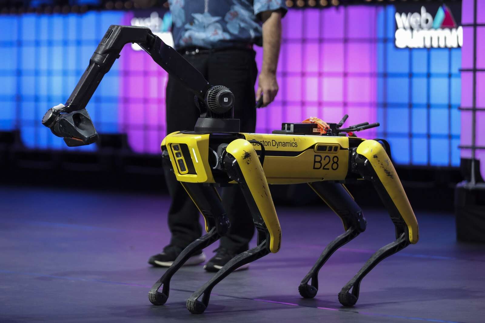 Numbers apprenticeship for AI | Country News