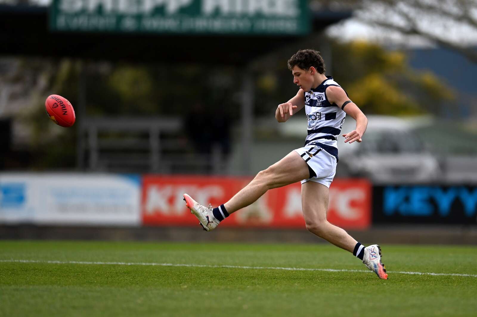 Classy Cat’s breakout season attracts VFL interest | Shepparton News