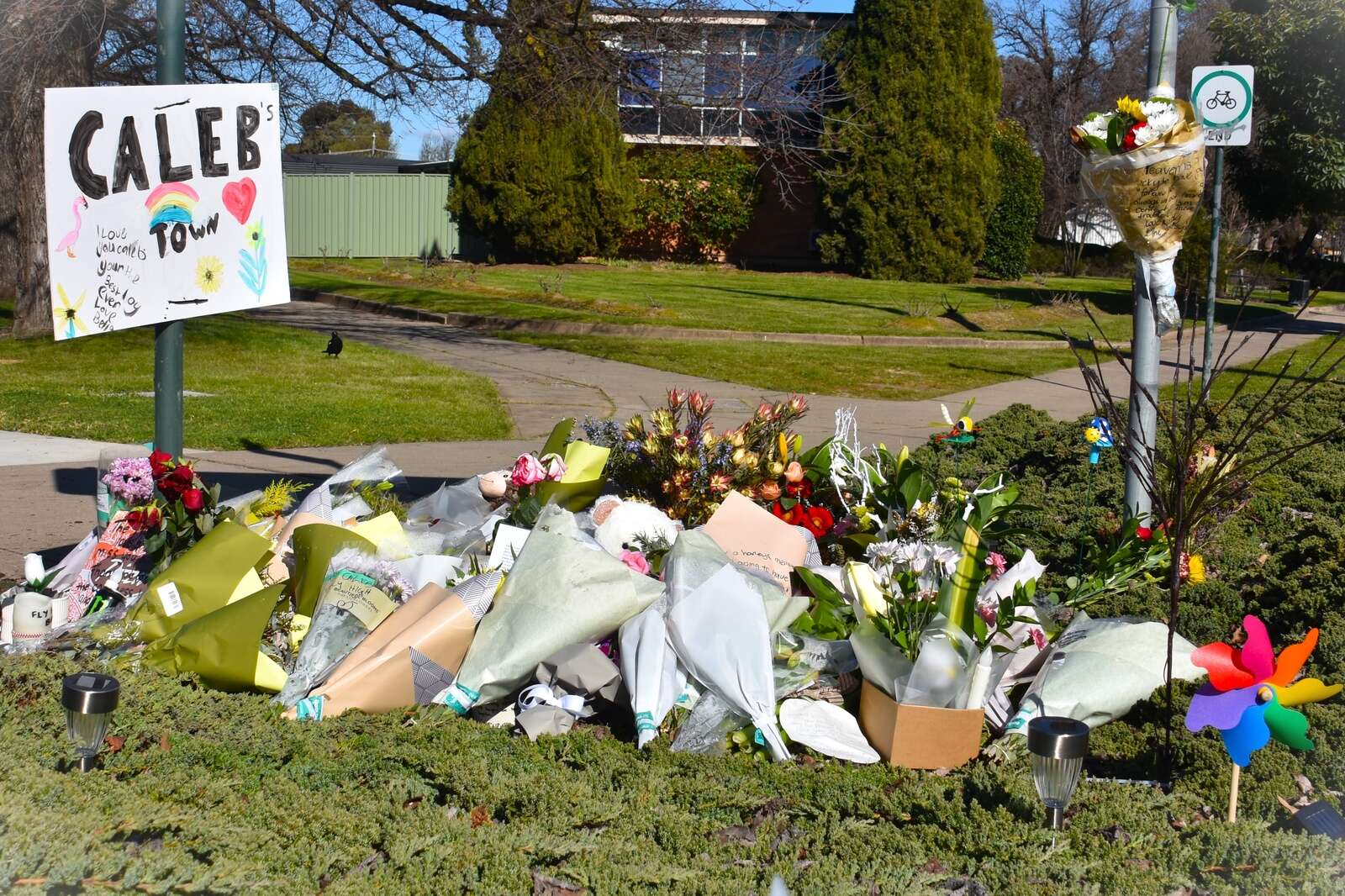 Man in court over alleged hit-and-run death | Shepparton News