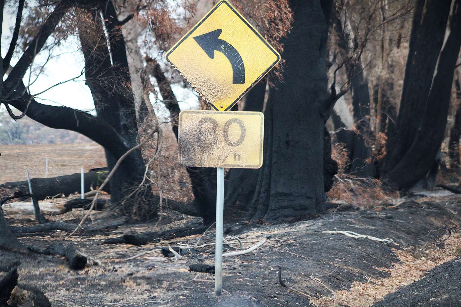Ruffy fire aftermath | Riverine Herald