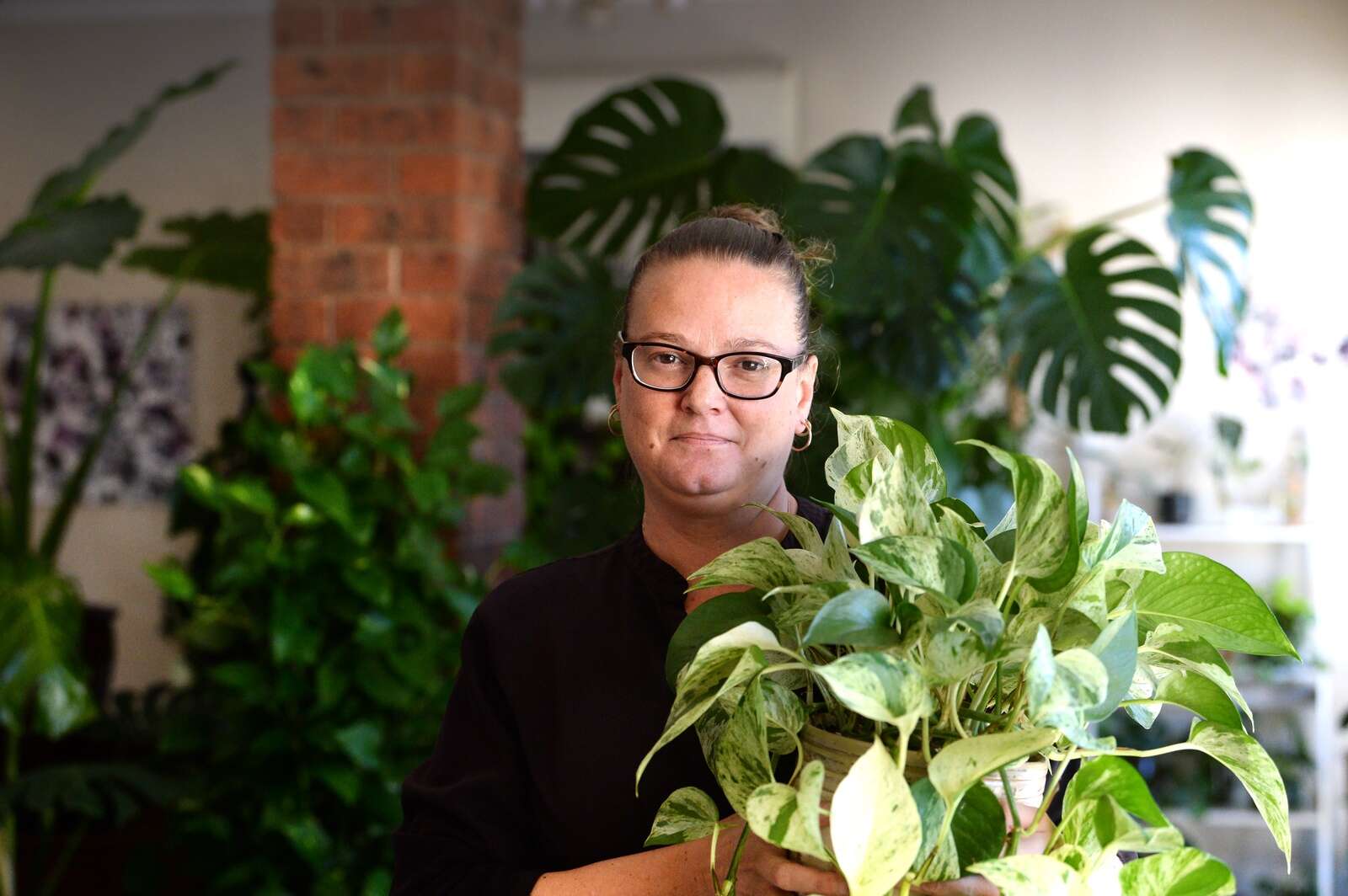 Just another plant can’t hurt Shepparton News