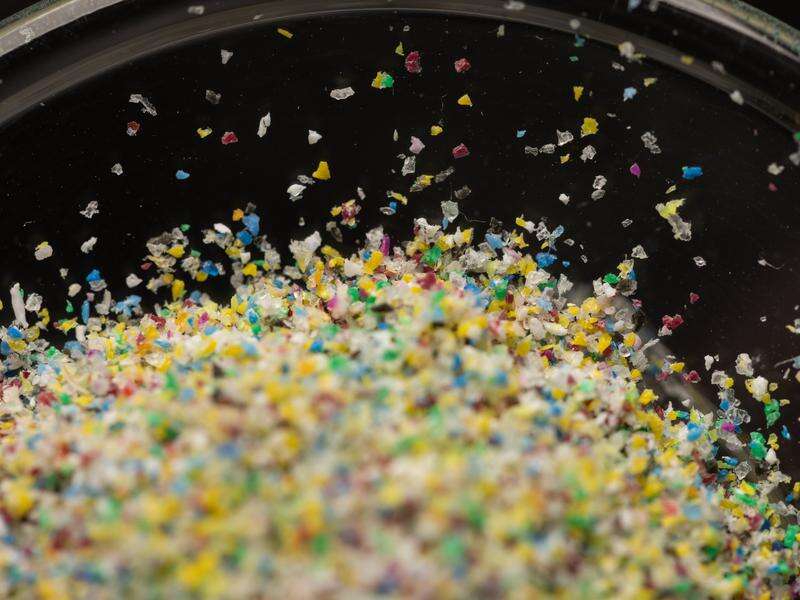 Adelaide rivers dump microplastics in sea Shepparton News