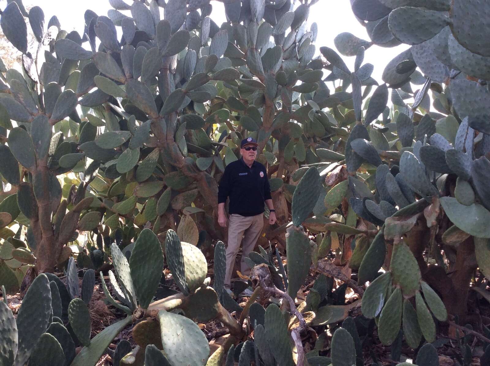 Help eradicate feral fruit trees to protect local agriculture | Dairy ...