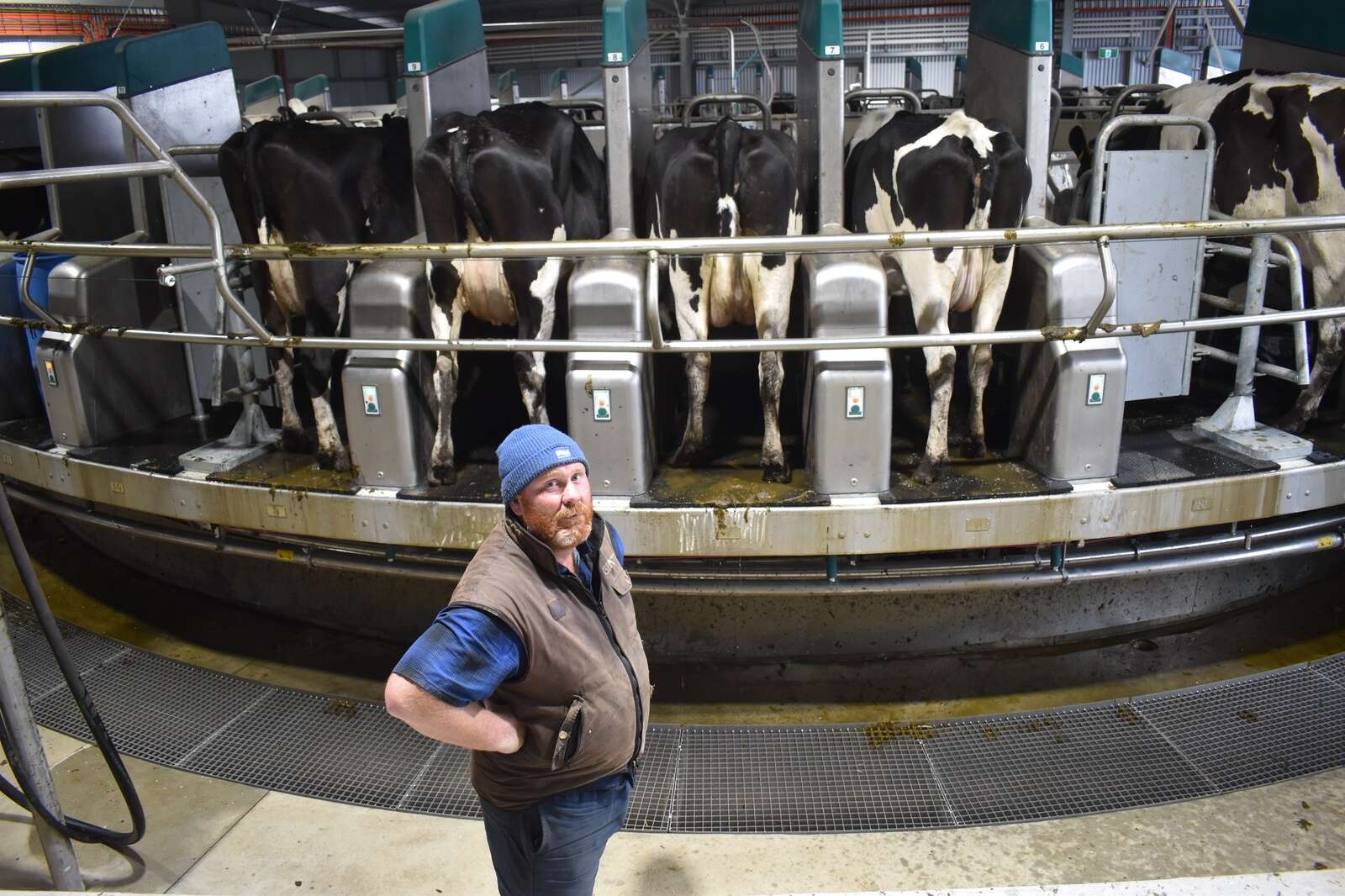 Robot rotary is world-first | Dairy News Australia