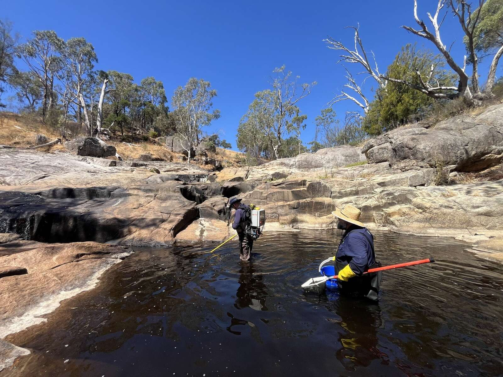 Fish rescued | Country News