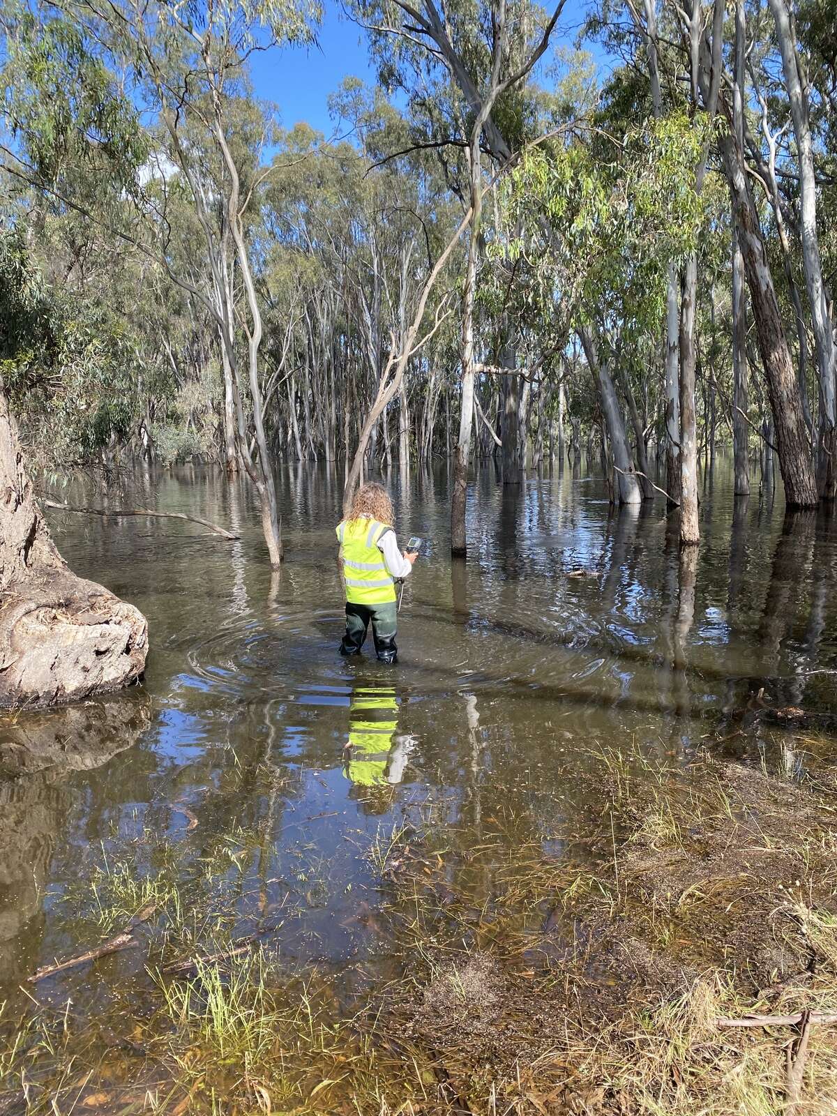 Scientists continued to monitor rivers during the floods | Shepparton News