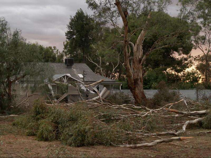 One dead and thousands without power as storm rages on | Riverine Herald