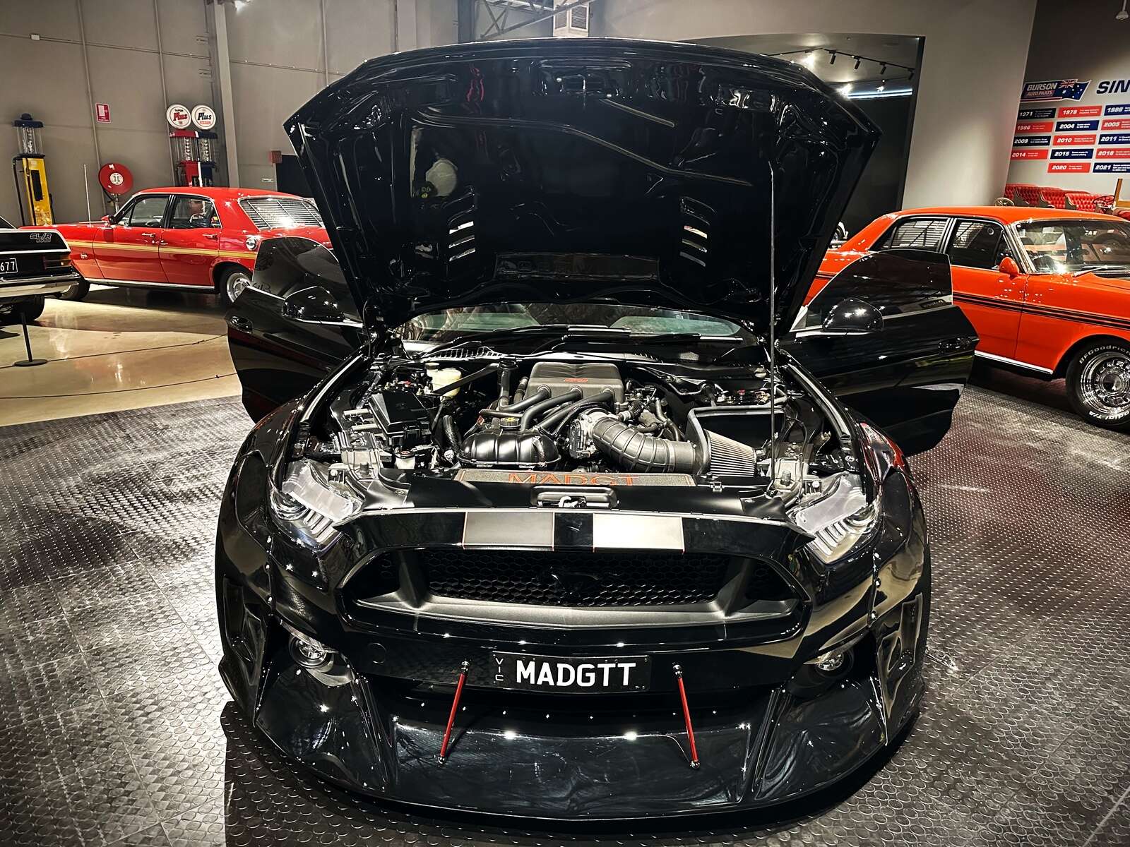 Dude, here’s my car | The maddest Mustang | Seymour Telegraph