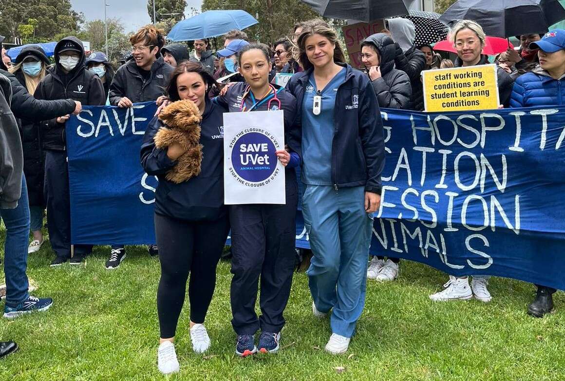 University of Melbourne drops ag and vet faculty Country News