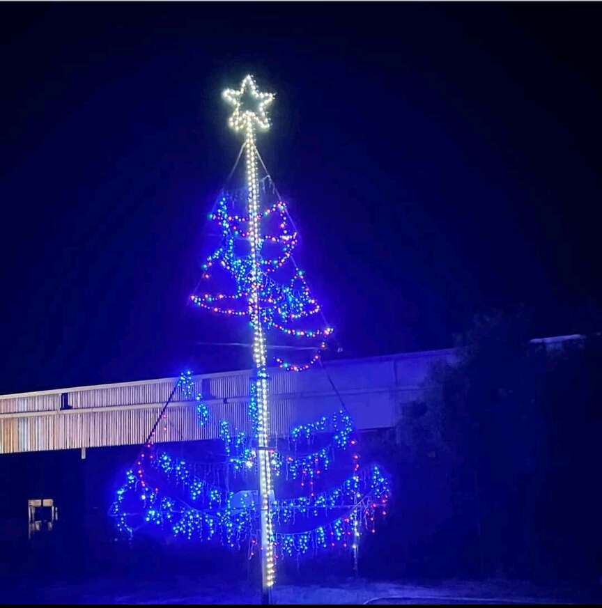 Christmas lights a Rochester institution Dairy News Australia
