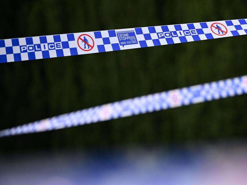 pair-charged-as-60m-in-cocaine-found-at-sydney-port-dairy-news-australia