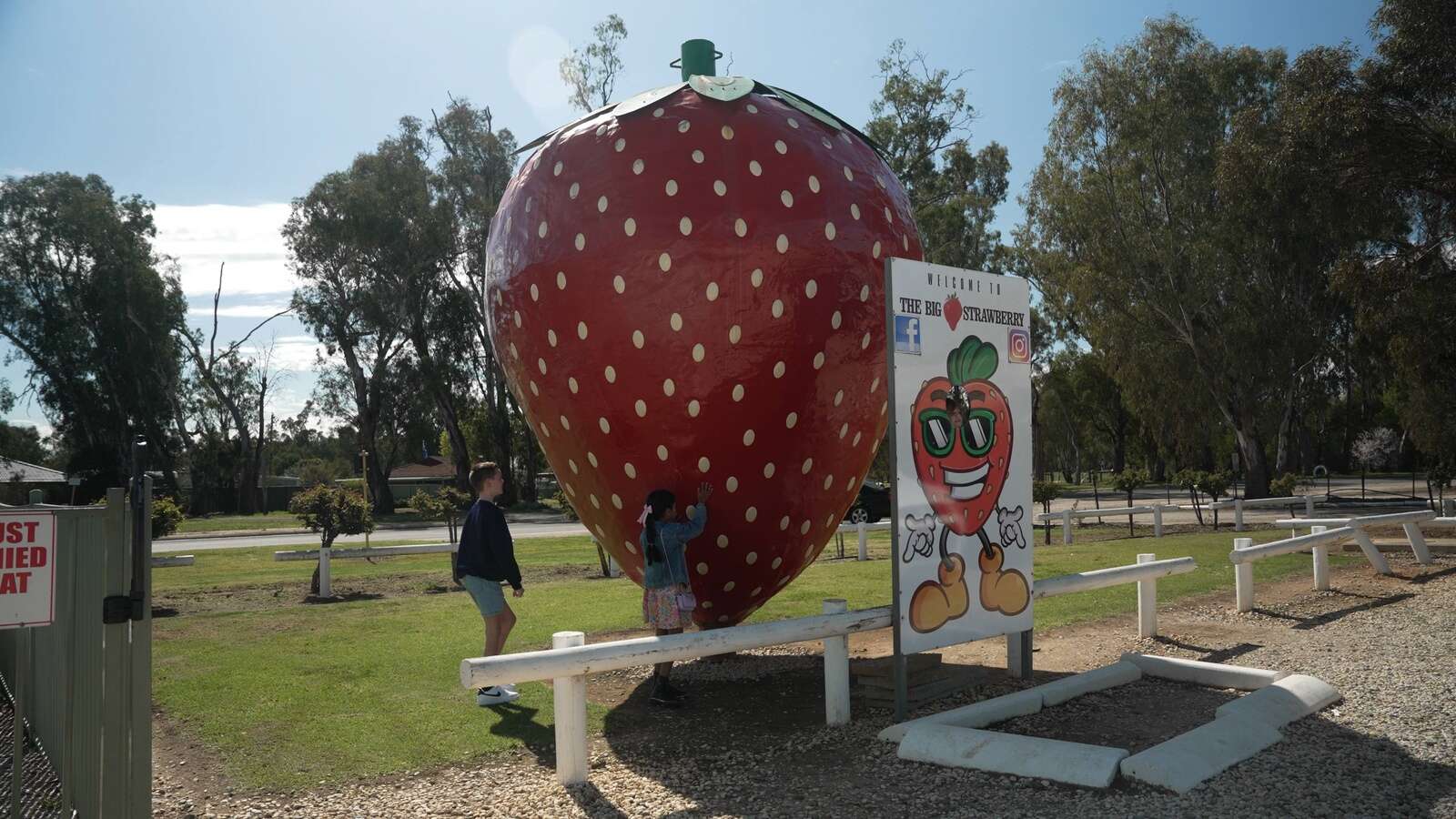 a-giant-strawberry-in-your-pocket-country-news