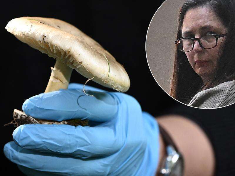 Life without parole for mushroom killer as appeal fails