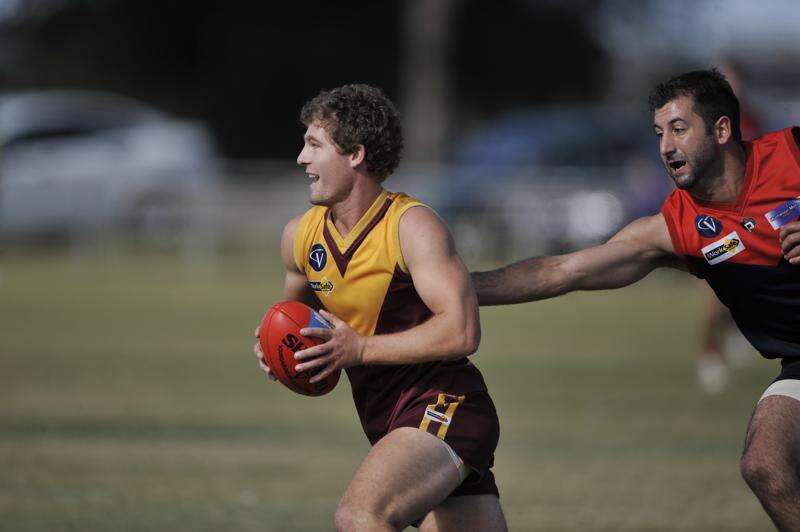 Lions’ recruit set to turn heads | Dairy News Australia