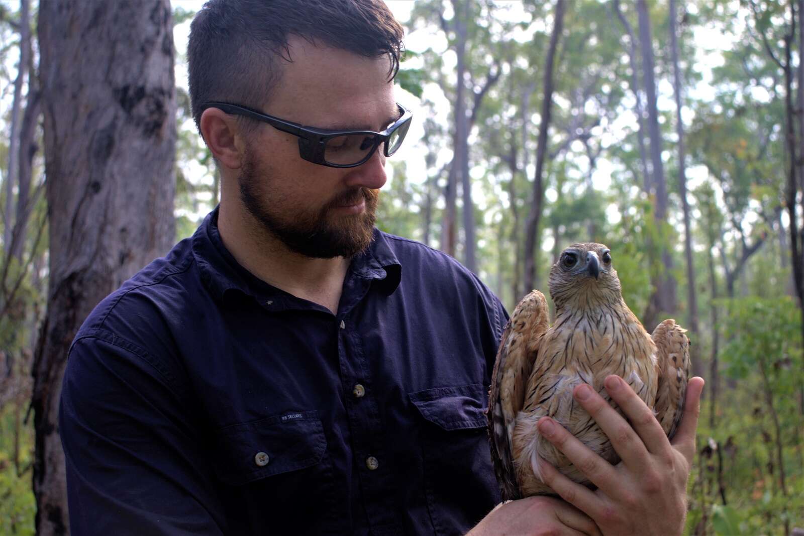 Watching like a hawk Country News