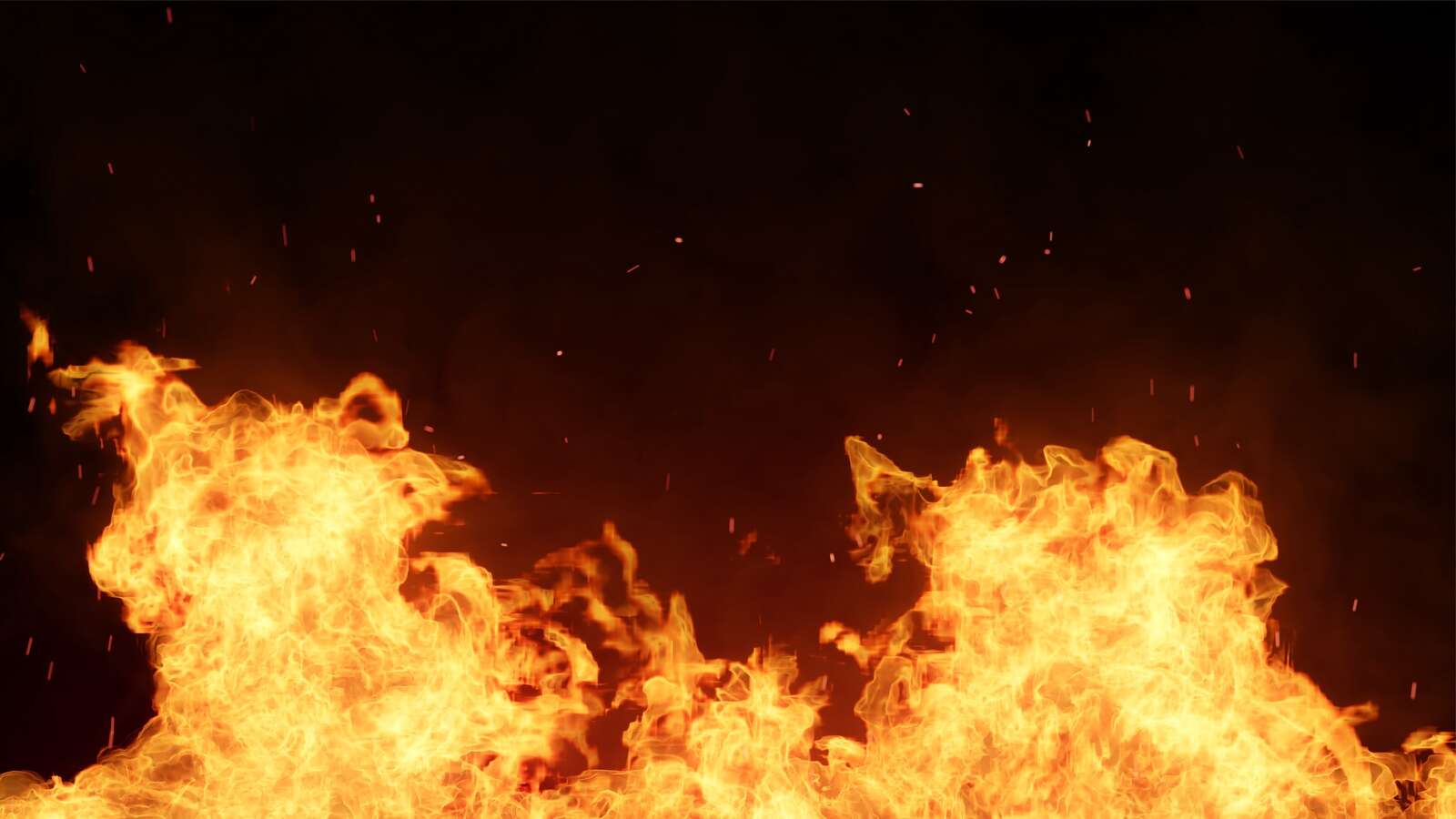Tree fire deemed suspicious | Shepparton News