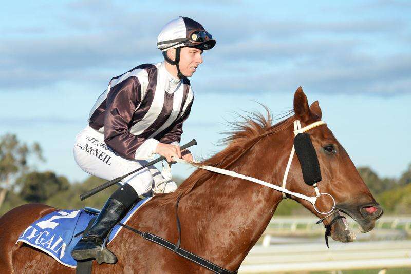 Echuca races: Cape Mount back in business; Honorellay goes for more ...