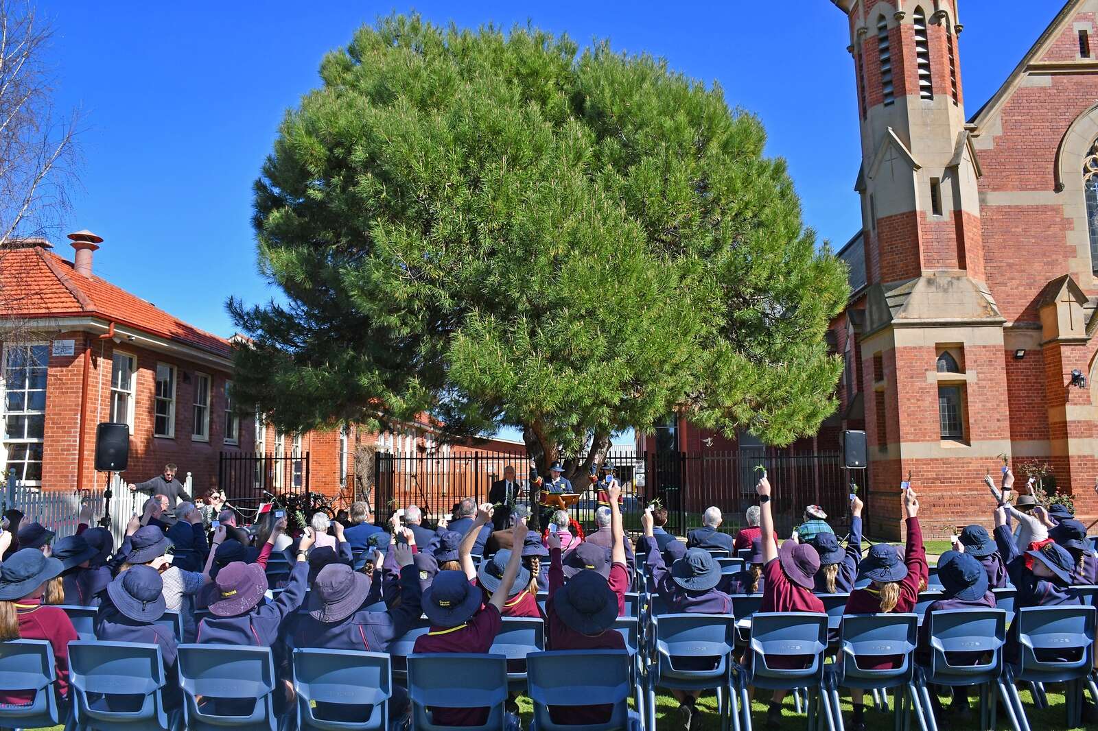 St Augustine’s accepts guardianship of Lone Pine tree in ceremony ...