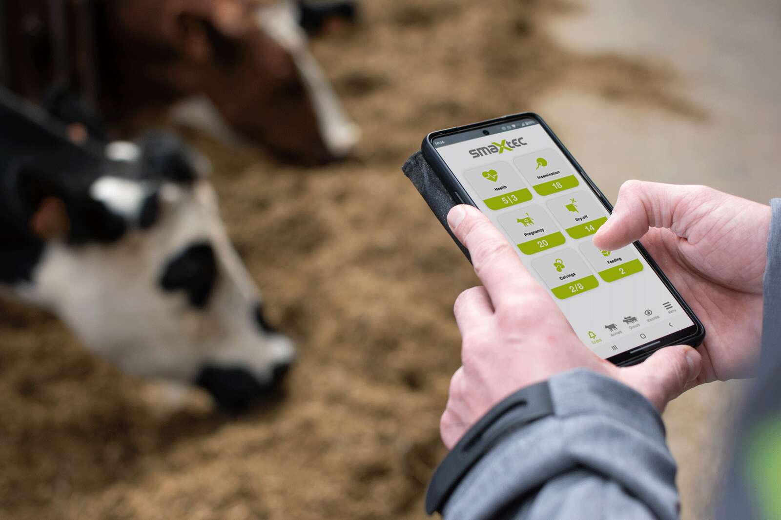 New technology accurately records cows’ water intake Dairy News Australia