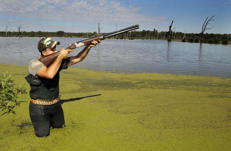 Duck hunting green light draws ire and praise | Seymour Telegraph