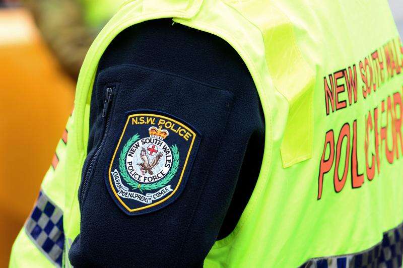 Dog attack on toddler uncovers massive cash and drug haul