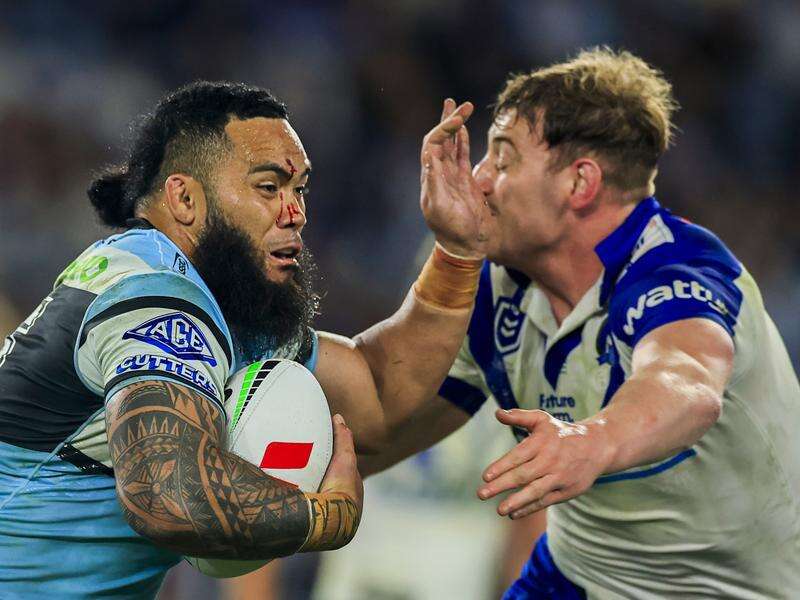Milestone 'emotional' and 'bittersweet' for Shark