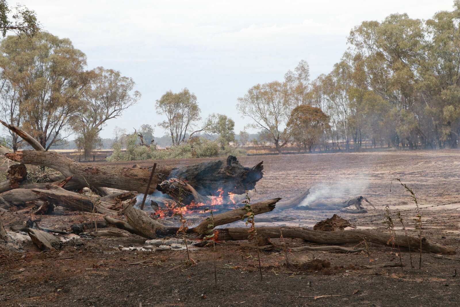 Farms hit by Goomalibee fire | Corowa Free Press