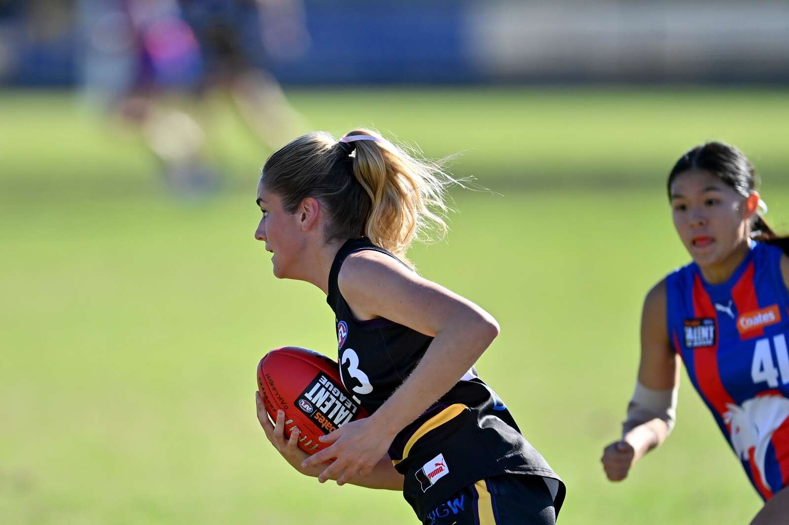 Ibrahim's rise takes flight at Essendon