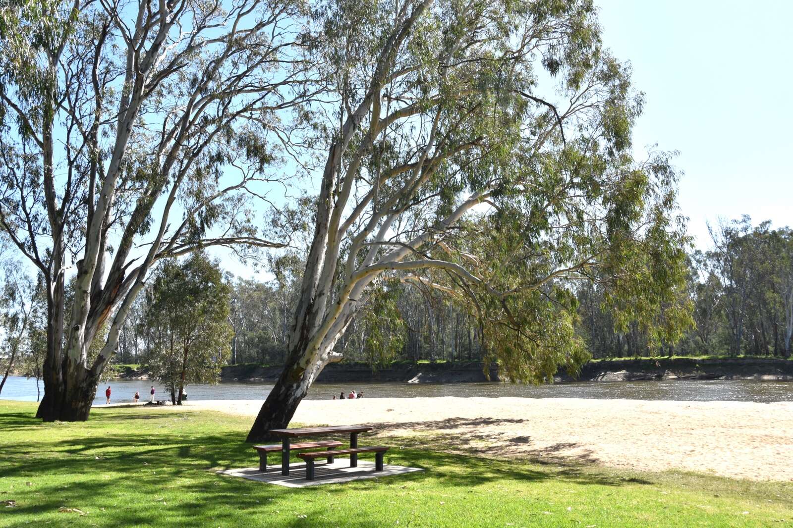 Music on the Murray is back