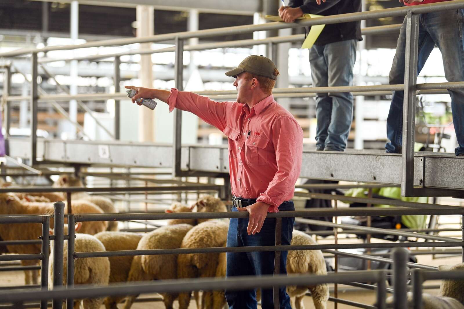 Shepparton saleyards raise over $40,000 for children's hospital ...