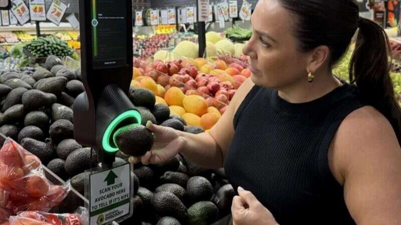 Ripeness scanner trial tackles consumer frustration | Country News