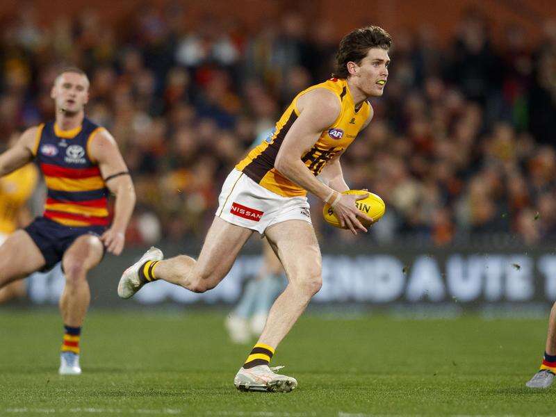 Key Hawk suffers season-ending injury | Kyabram Free Press